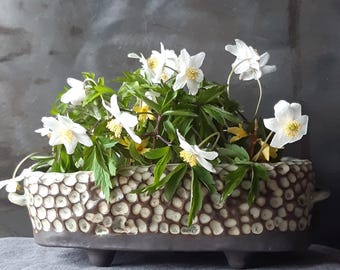 Ikebana Flower Vase – Medium Ceramic with Frog Insert