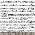 Floral Divider SVG, Flower Border Svg, Decorative Text Dividers, Flower Monogram Svg, Wedding Text Divider Svg, Flower Svg, Digital Download product logo