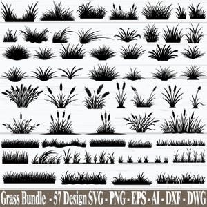 Puede incluir: Una colección de 57 diseños negros de hierba y plantas en varios estilos. La imagen incluye diferentes tipos de hierba, juncos y otro follaje, perfecto para proyectos de arte digital. El texto "Grass Bundle - 57 Design SVG - PNG - EPS - AI - DXF - DWG" está en la parte inferior.