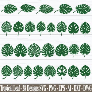 May include: A collection of twenty-eight dark green tropical monstera leaf illustrations arranged in four rows. Each leaf features distinct vein patterns and varying degrees of fenestration. The text at the bottom reads Tropical Leaf - 28 Designs SVG - PNG - EPS - AI - DXF - DWG.