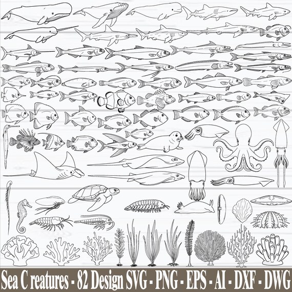 Sea Animals SVG Bundle, Sea Creatures Svg, Ocean Life Svg, Marine Life Svg, Coastal Svg, Sea Animals Cricut Files, Marine Cut Files, Digital