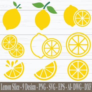 Lemon SVG Bundle, Lemon Slice Svg, Fruits Svg, Lemon Layered, Lemon Vector, Summer Clipart, fruit Clipart, Digital Download