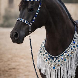 Conjunto de cabezada de lujo para exhibición de caballos árabes en verde esmeralda y dorado, aparejos de presentación, frontalera y pechera, aparejos de exhibición personalizados.