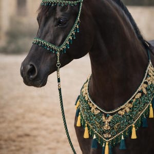 Puede incluir: Un caballo negro adornado con una elaborada brida y peto de cuentas verdes y doradas. La guarnición del caballo presenta diseños intrincados, incluyendo borlas colgantes y detalles decorativos. El fondo está borroso, enfocando la atención en la elegante vestimenta del caballo.