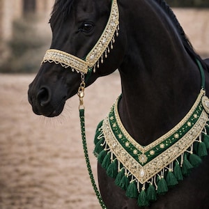 Conjunto de cabezada de lujo para exhibición de caballos árabes en verde esmeralda y dorado, aparejos de presentación, frontalera y pechera, aparejos de exhibición personalizados.