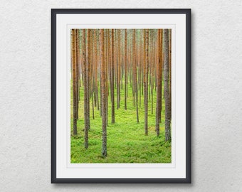 Pine forest photography, Woodland, Wild nature printable art, Trees poster, Home wall decor, Green plants, Coniferous forest, Summer time