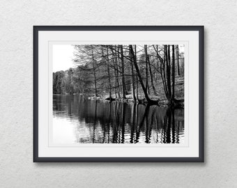 Trees reflection on water, Black and white landscape prints, Printable wall art, Nature photography, Home wall decor, Calm lake water Poster