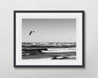 Flying seagull on the seashore, Black & white marine photography, Sea landscape, Nature poster, Printable home wall decor, Seascape wall art