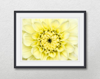Minimalist Yellow Dahlia flower photography, Printable home wall decor digital download, Print floral close-up poster art, Photo gift