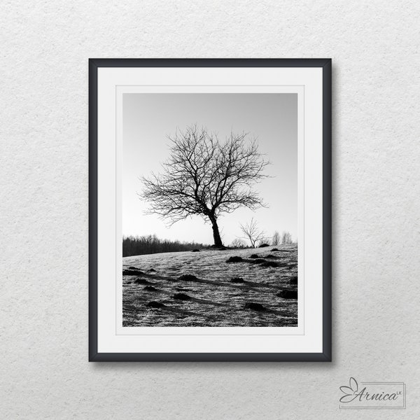 Tree on the hill, Black and white photography, Instant digital download, Nature printable wall art, Home decor, Tree without leaves