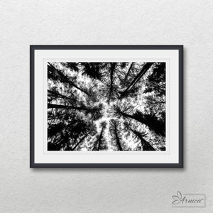 Tree tops black and white photography, Printable abstract home wall decor, Print graphic nature art, Digital download fine art poster