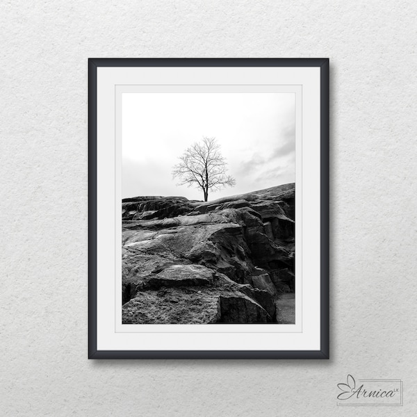 One tree without leaves on stone hill, Black and white nature photography, Instant digital download, Printable wall art, Home wall decor