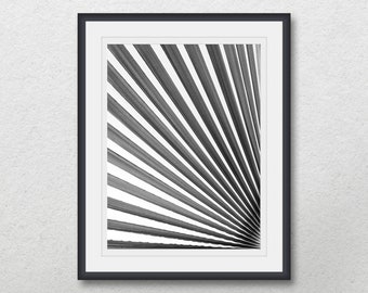 Black and white tropical print, Palm leaves photography, Printable wall art, Graphic home wall decor, Nature poster, Diagonal lines,Fine art
