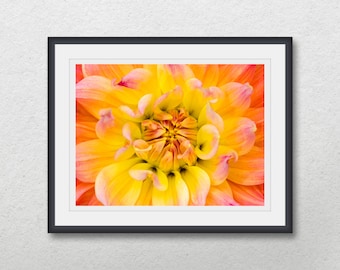 Yellow Orange Dahlia, Minimalist flower photography, Printable home wall decor digital download, Print floral close-up poster art