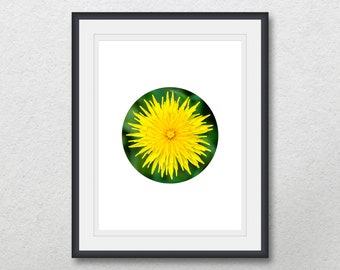 Dandelion in circle, Nature flower photography, Geometric printable wall art, Instant digital download, Home wall decor, Minimalist print