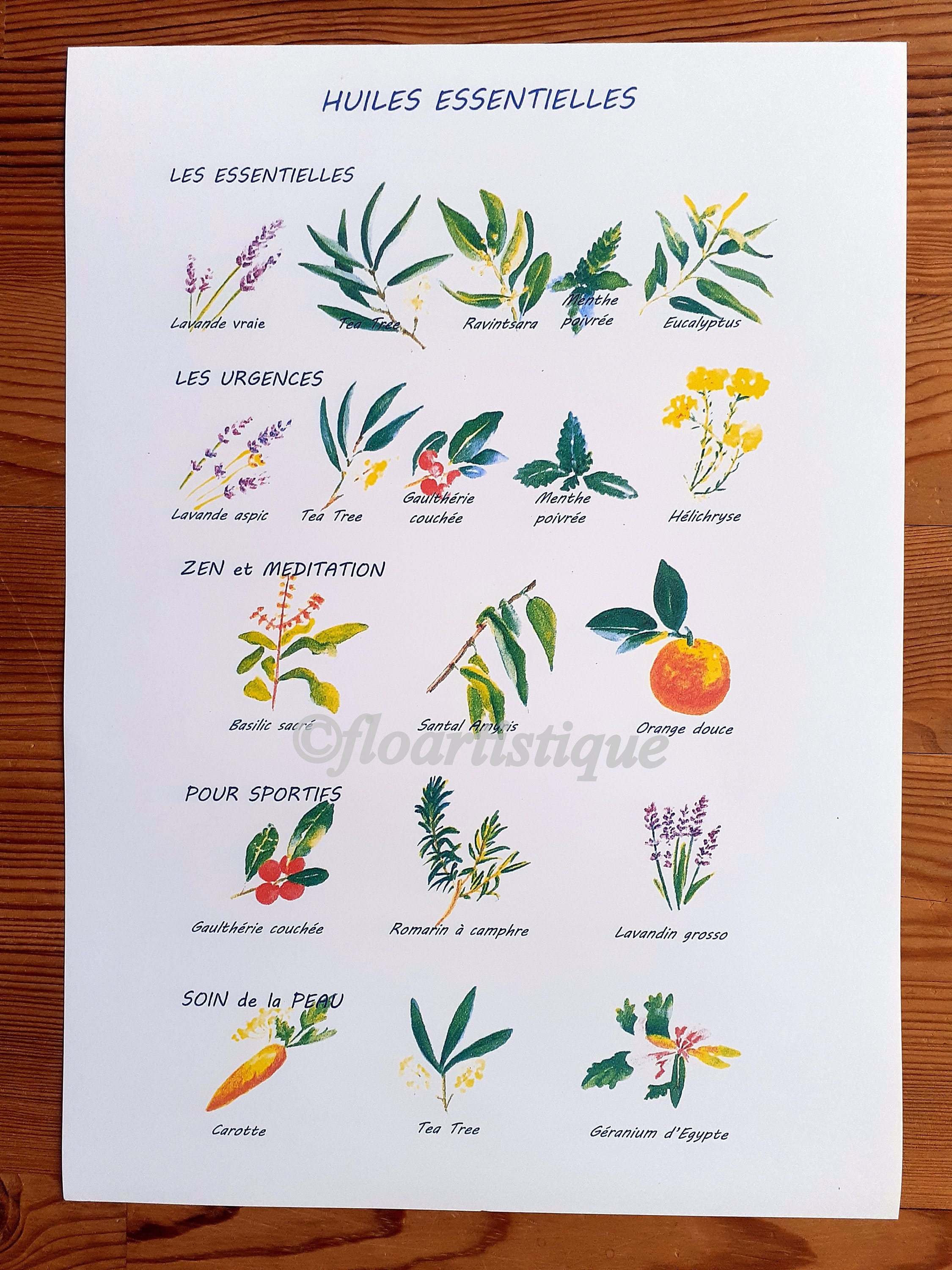 Affiche Reproduction de L'aquarelle Originale Huiles Essentielles