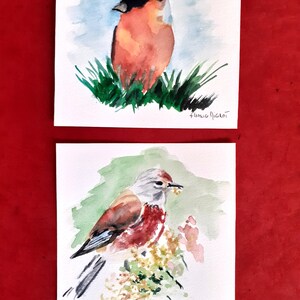 Lot 2 cartes simples aquarelles oiseaux
