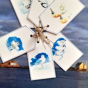 Set de 3 etiquetas de aves marinas en acuarela