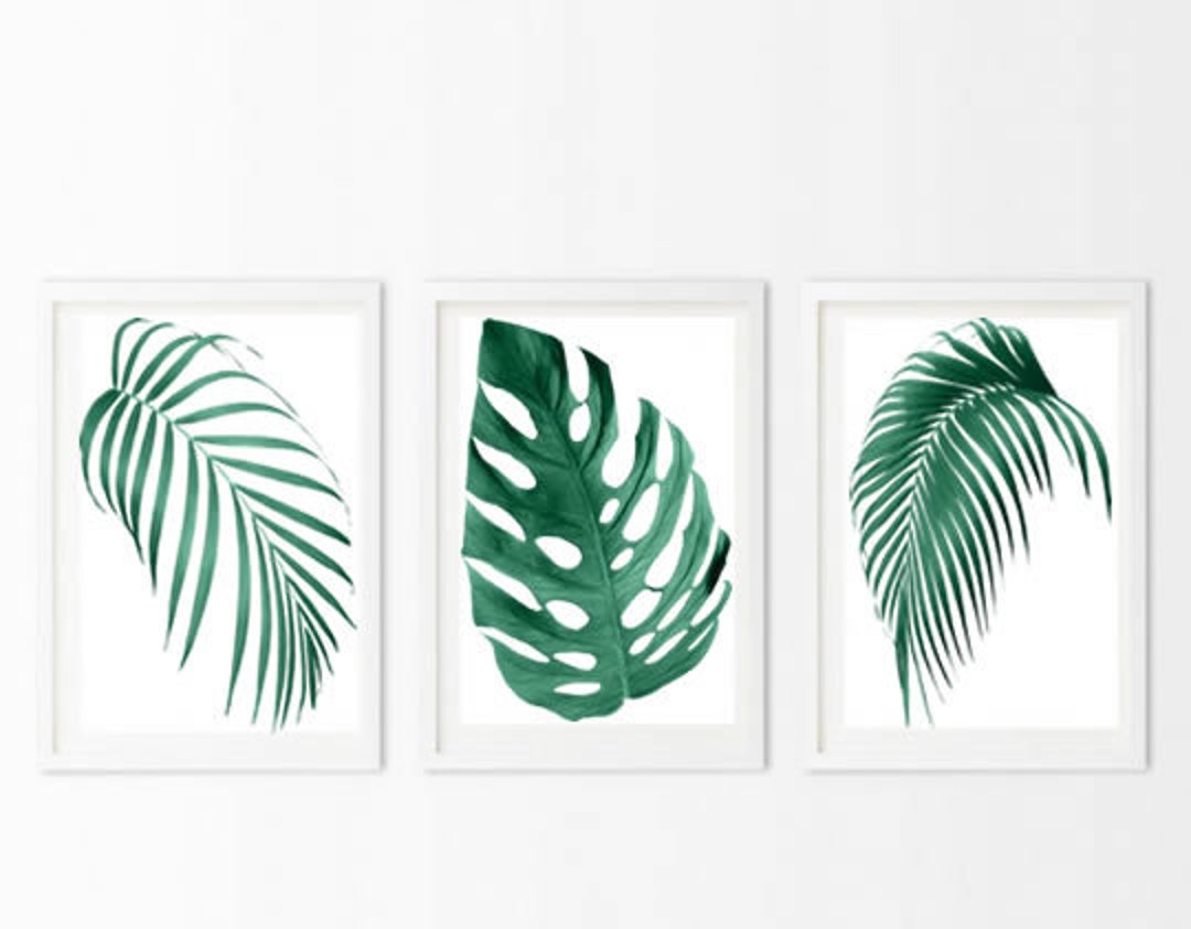 Set of 3 Tropical, Palm Leaves, Monstera Deliciosa, Cheese Plant Prints ...