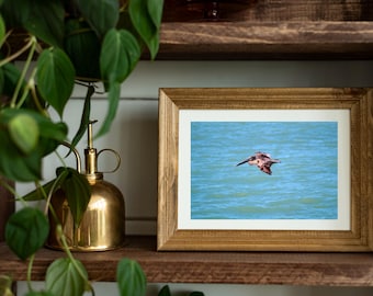 Väggkonst med havspelikan, foto av flygande fågel, stort fotografi av vattenscen, naturinspirerad dekor, konst av strandhus
