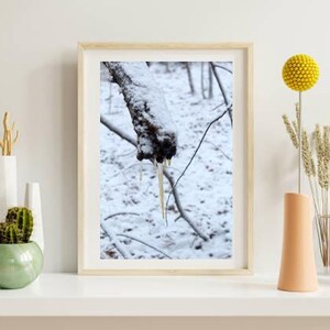 A Winter Wonder: Unique Icicles on Tree Log Photo