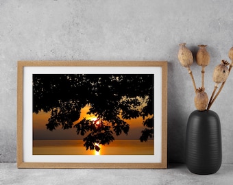 Foto de silueta de árbol al atardecer, paisaje con cielo naranja, impresión fotográfica de naturaleza, decoración de pared, arte escénico