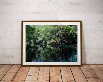 Silver Springs Park River Photo, Nature Wall Art, Forest Landscape Print, Scenic Photography, Home Decor, Art Print