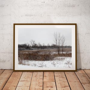 A Sensational Winter Photo: Stunning Buckland Park in Snow