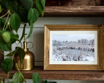 Astonishing Frozen Pond: A Winter Photo for Your Gallery