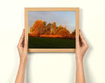 Group of Trees and Bushes During Sunrise Photo, Landscape Photography Print, Nature Wall Art, Home Decor, Landscape Art