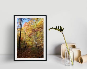 Zdjęcie jesiennych liści w Mendon Ponds, malowniczy wydruk przyrodniczy, dekoracja ścienna, fotografia krajobrazowa, prezent dla miłośników natury