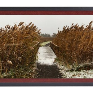 Buckland Park Winter Pathway Panorama, Wall Art, Winter Landscape, Scenic Photography, Nature Print, Home Decor