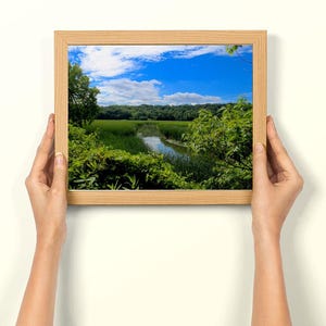 Curvy River Photo Print, Lucien Morin Park Wall Art, Nature Photography, Landscape Art, Home Décor, Scenic River Image