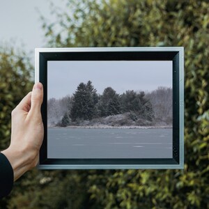 A Stunning Winter Photo: Beautiful Trees by Icy Waters