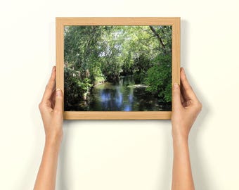 River Through Trees Photo, Silver Springs Park Print, Nature Photography, Landscape Wall Art, Scenic Art Print, Home Decor