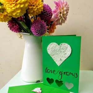 Carte en papier graine pour propositions, anniversaires de mariage, félicitations de bébé, Saint-Valentin et pendaison de crémaillère