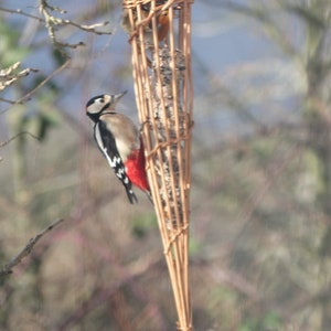 May include: A black and white woodpecker with red markings perches on a woven bird feeder. The feeder is made of natural materials and hangs from a branch.