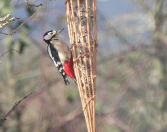 Mangeoire à oiseaux en saule ou éclairage d'intérieur, fait main, saule, respectueux de l'environnement, pour boules de suif, 9e anniversaire de mariage LIVRAISON GRATUITE