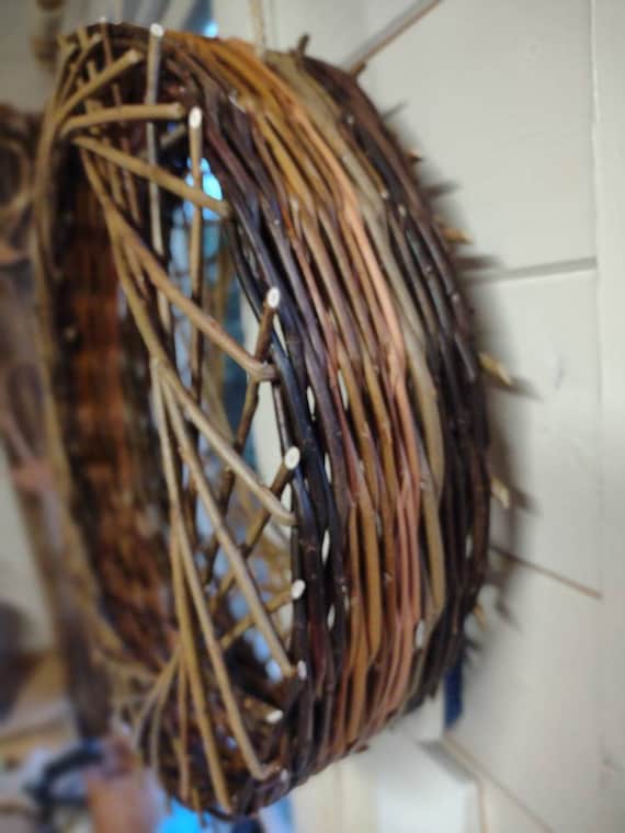 Biodegradable Window Bird Feeders: Eco-Friendly Birdwatching Delight
