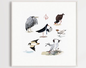Sea Birds Silly Character Art - Giclee Sketchbook Print - 8x8” Unframed