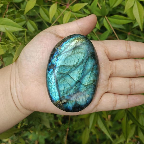 Pierre de palmier XXL en labradorite 70-80 mm