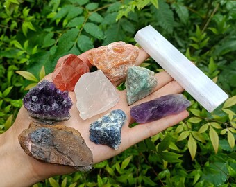Raw Crystal Starter Set: Amethyst, Quartz, Jasper, Selenite & More
