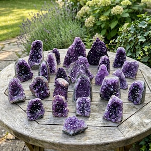 May include: A selection of amethyst crystal clusters in various sizes and shapes. The crystals exhibit a spectrum of purple shades, from pale lavender to rich violet. They are displayed on a round, aged wooden table, with foliage in the background.