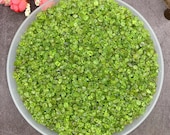 Artículos de esta tienda