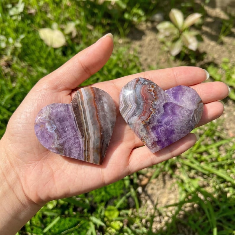 May include: Two heart-shaped amethyst stones with varying patterns of purple, brown, and white. The stones are held in a hand against a backdrop of green grass and foliage. The polished stones have a smooth, glossy finish.
