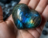 Artículos de esta tienda