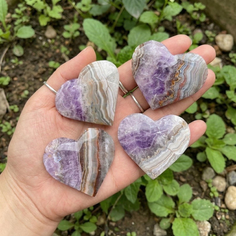 May include: Four heart-shaped amethyst stones with varying patterns of purple, white, and brown. The stones are held in a hand, with green foliage in the background. Each stone has a unique pattern and color variation.