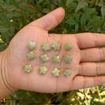 Jade Beads