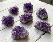 Artículos de esta tienda