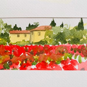 Toskanische Landschaft mit Mohnblumen